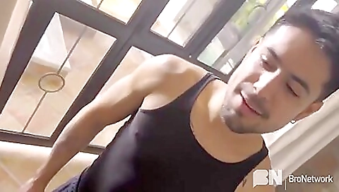 Sexy brunette slut take harlow in whippedass video